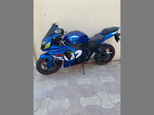 Suzuki GSX-R 1000   2009